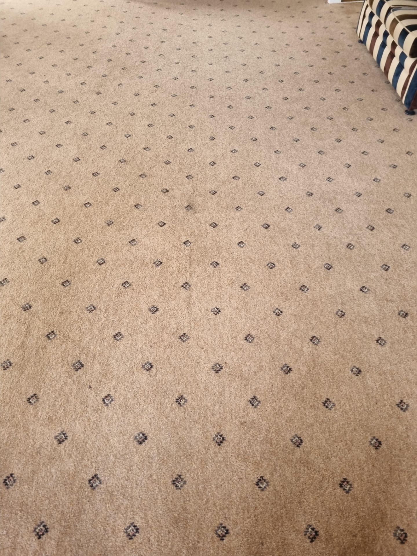 Beige With Blue Pattern Carpet 8m X 5m