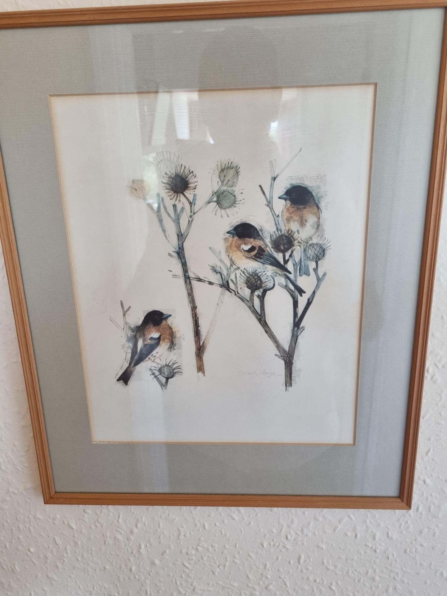 A set of 3 Framed Wall Art Bird Signed Mads Stage (Danish 6 July 1922 â€“ 28 May 2004) In Wooden