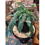 Black Ceramic Planter with artificial Fern Diameter 400mm H 370mm (SR108)