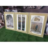 A set of 3 framed Abstract prints in modern Silver frames 49 x 70cm