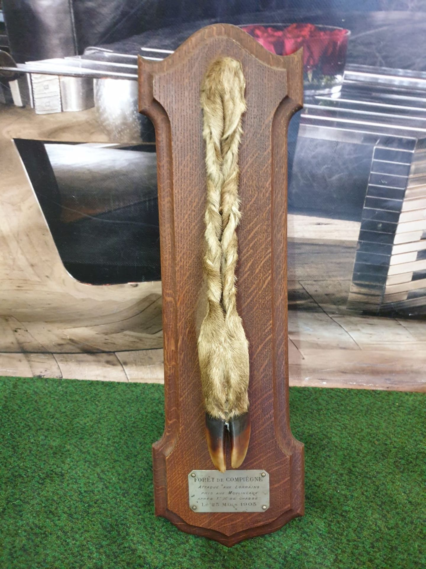 Taxidermy deer foot mounted on mahogany plinth with plate inscribed in French Foret de Compiegne.