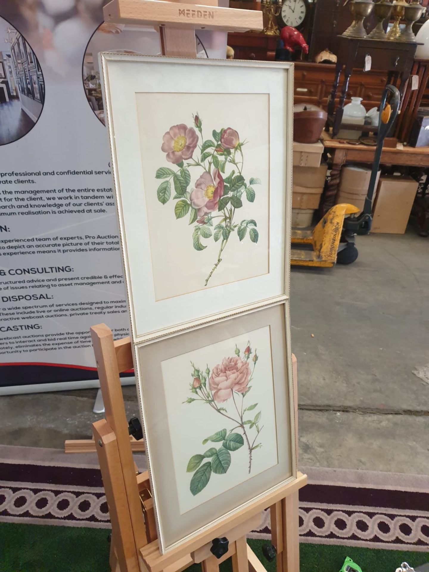 A set of 2 framed coloured prints Rosa Centifolia Anglica Rubra and Rosier de Cumberland by Henry - Bild 2 aus 3