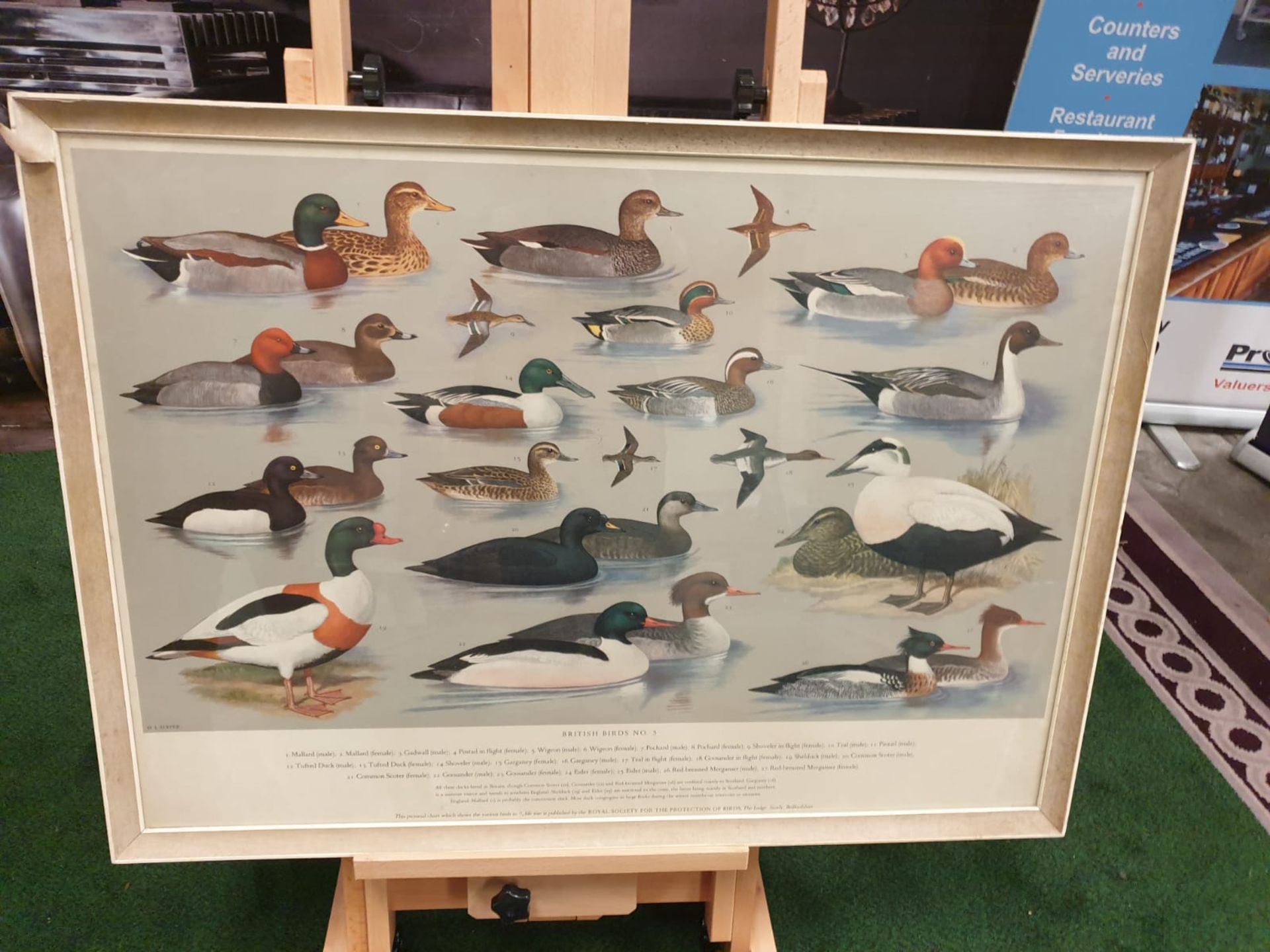 A set of 5 framed series 1 â€“ 5 coloured prints pictorial charts RSPB on British Birds H J Slyper - Image 2 of 7