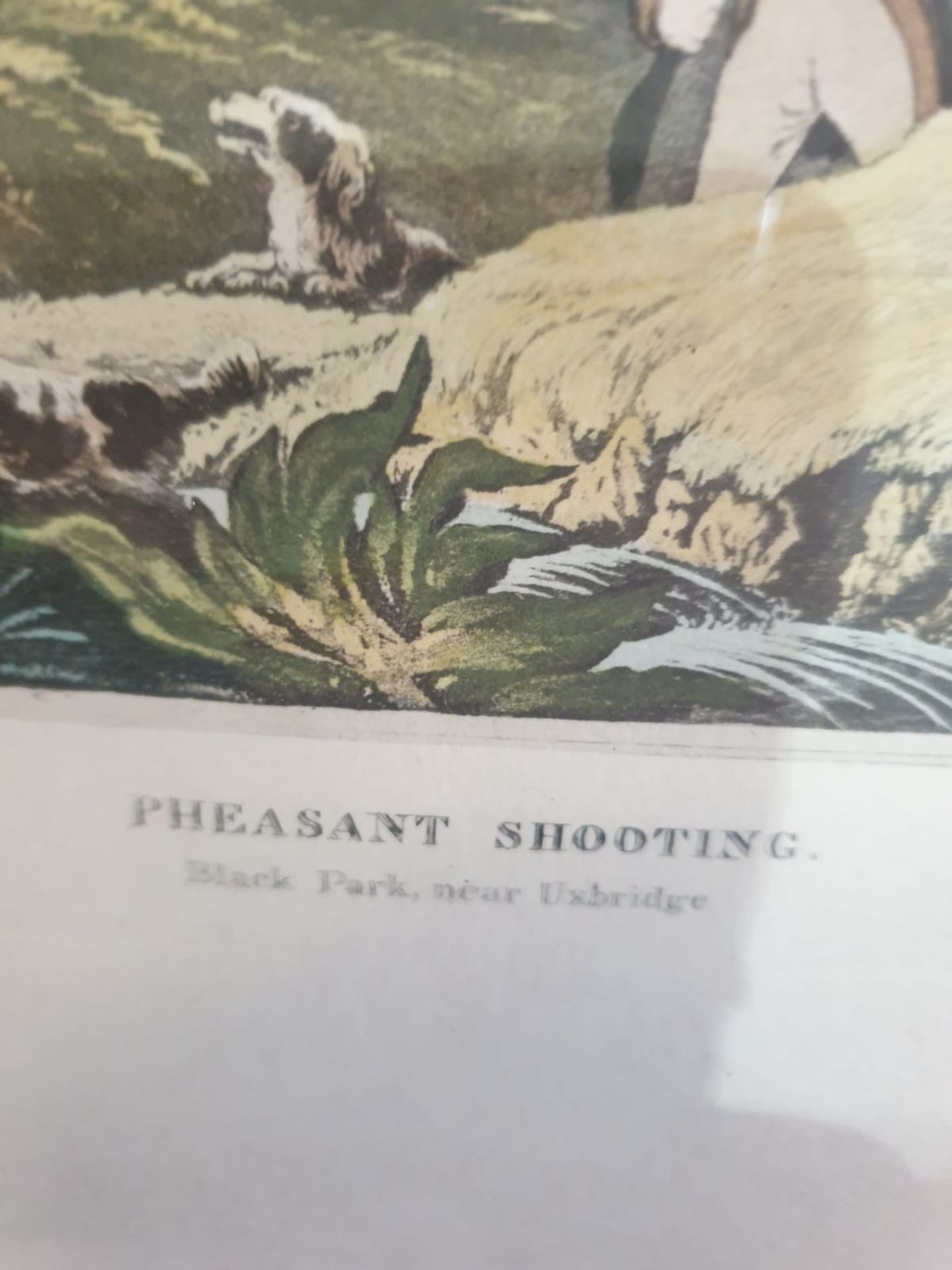 Framed vintage aquatint Pheasant Shooting. Black Park near Uxbridge. HAVELL Jr., Robert. - Image 6 of 6