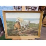 Framed vintage print of a a horse and her foal on a cliff overlooking the sea 60 x 45cm