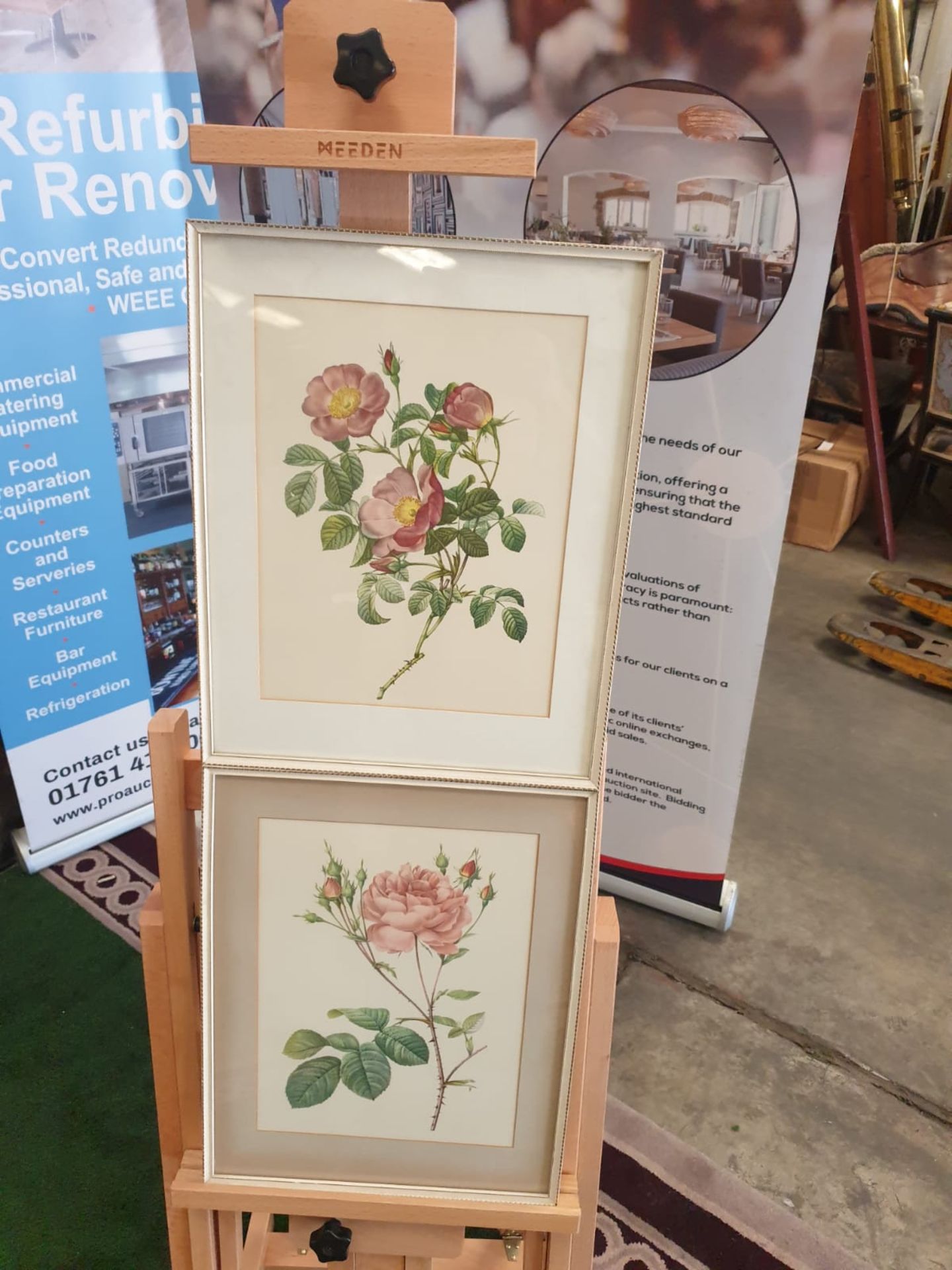 A set of 2 framed coloured prints Rosa Centifolia Anglica Rubra and Rosier de Cumberland by Henry
