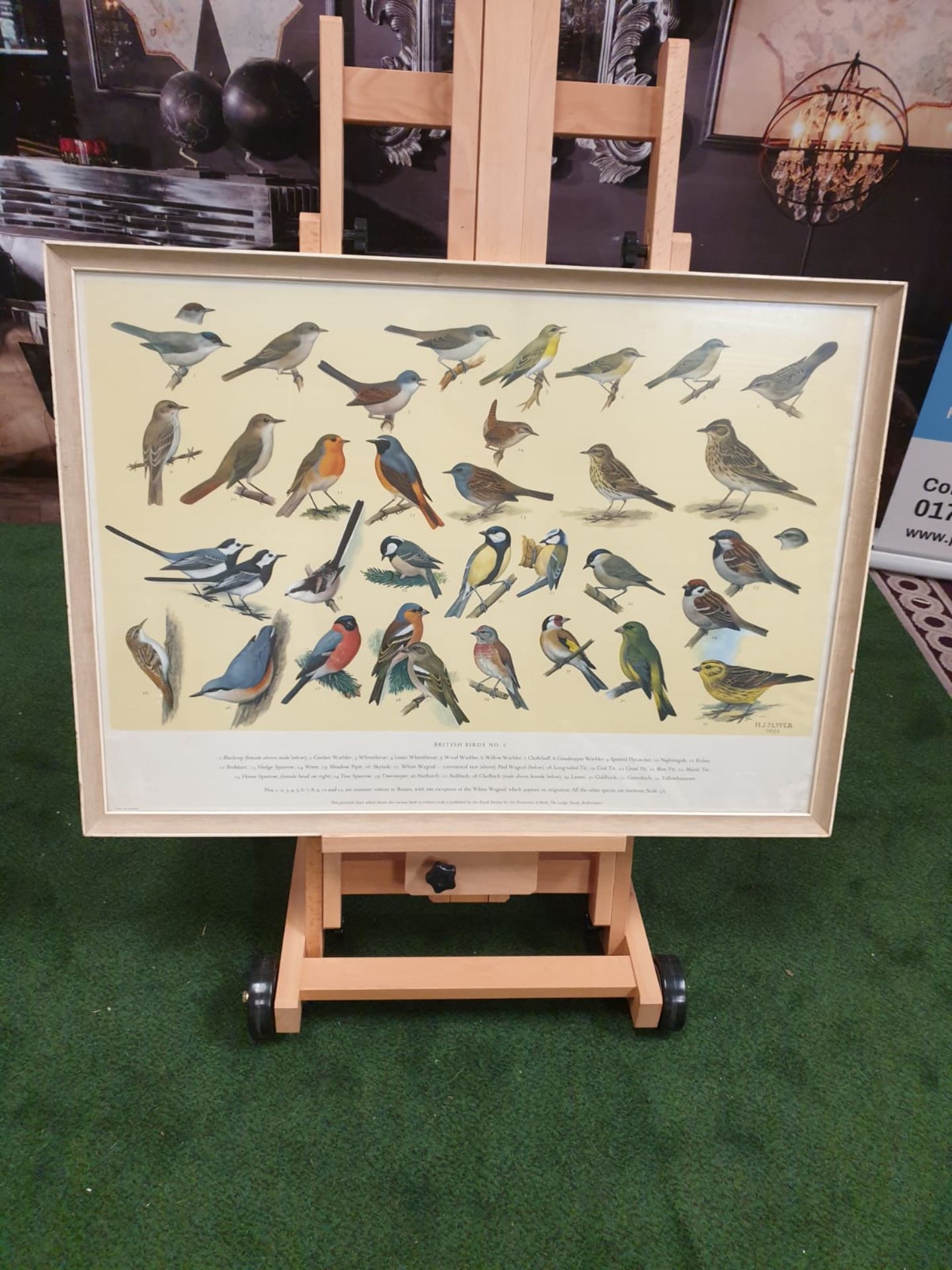 A set of 5 framed series 1 â€“ 5 coloured prints pictorial charts RSPB on British Birds H J Slyper - Image 5 of 7