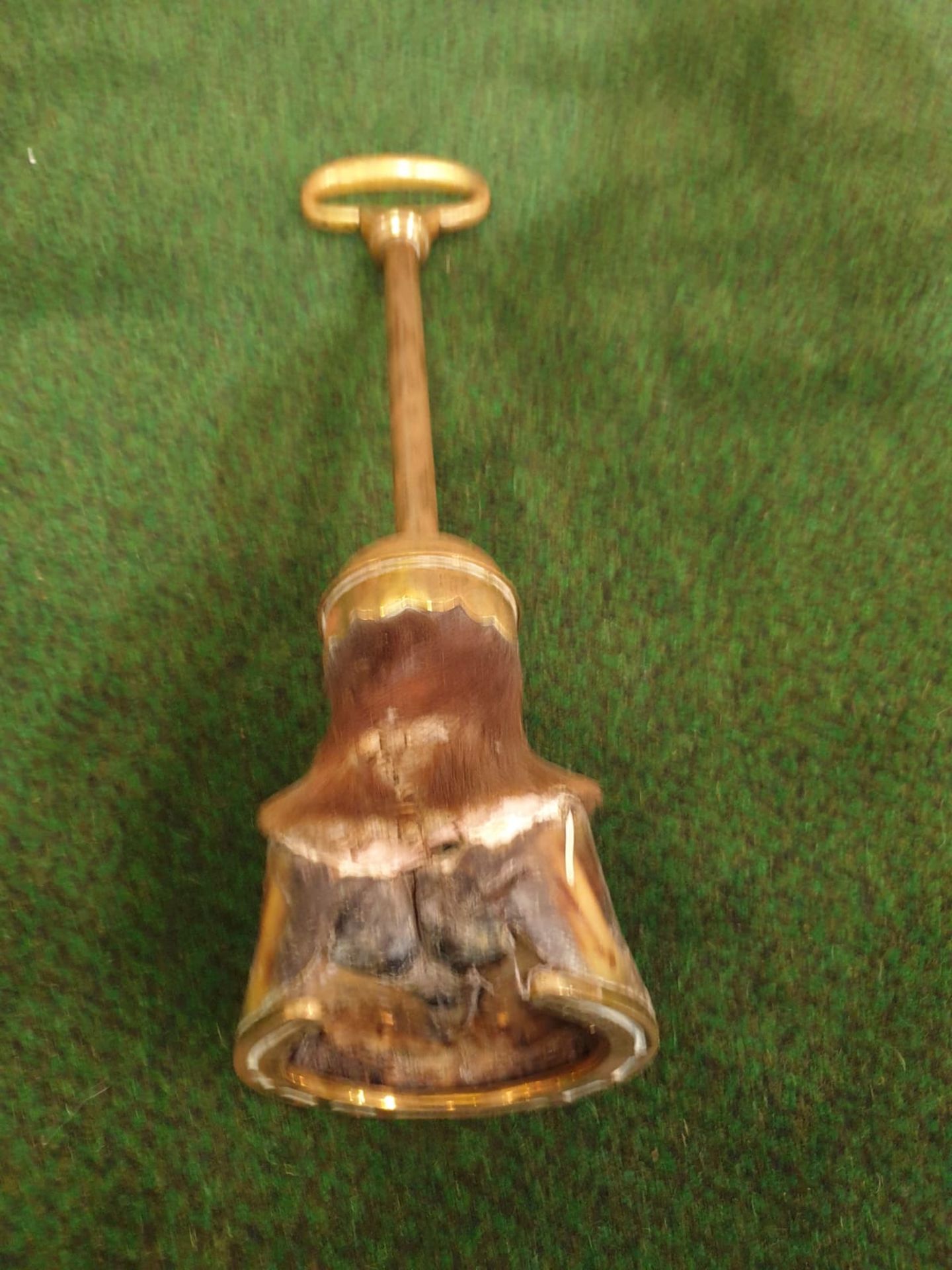 A Victorian brass mounted horse's hoof door stop.The hoof mounted with brass with a ring handle - Image 3 of 3