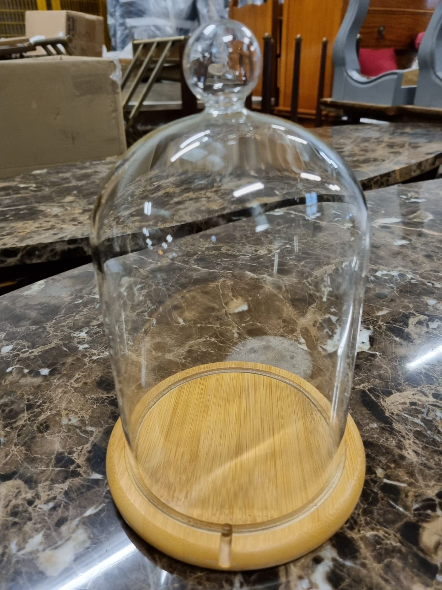 2 x Glass bell jar display with Pine base. GDM15-2. 15dia x 22.5.cm Ex Showroom Display (SR268) - Image 2 of 2