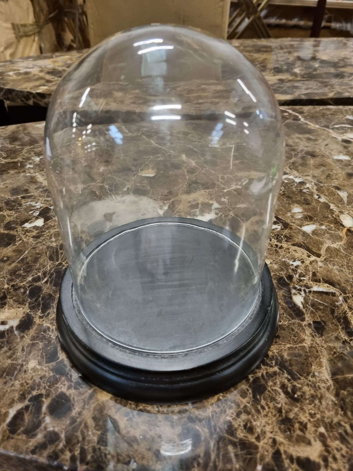 1 x Glass bell jar display midi with Black base 16dia x 18h. 5710228014196 - Ex Showroom Display (