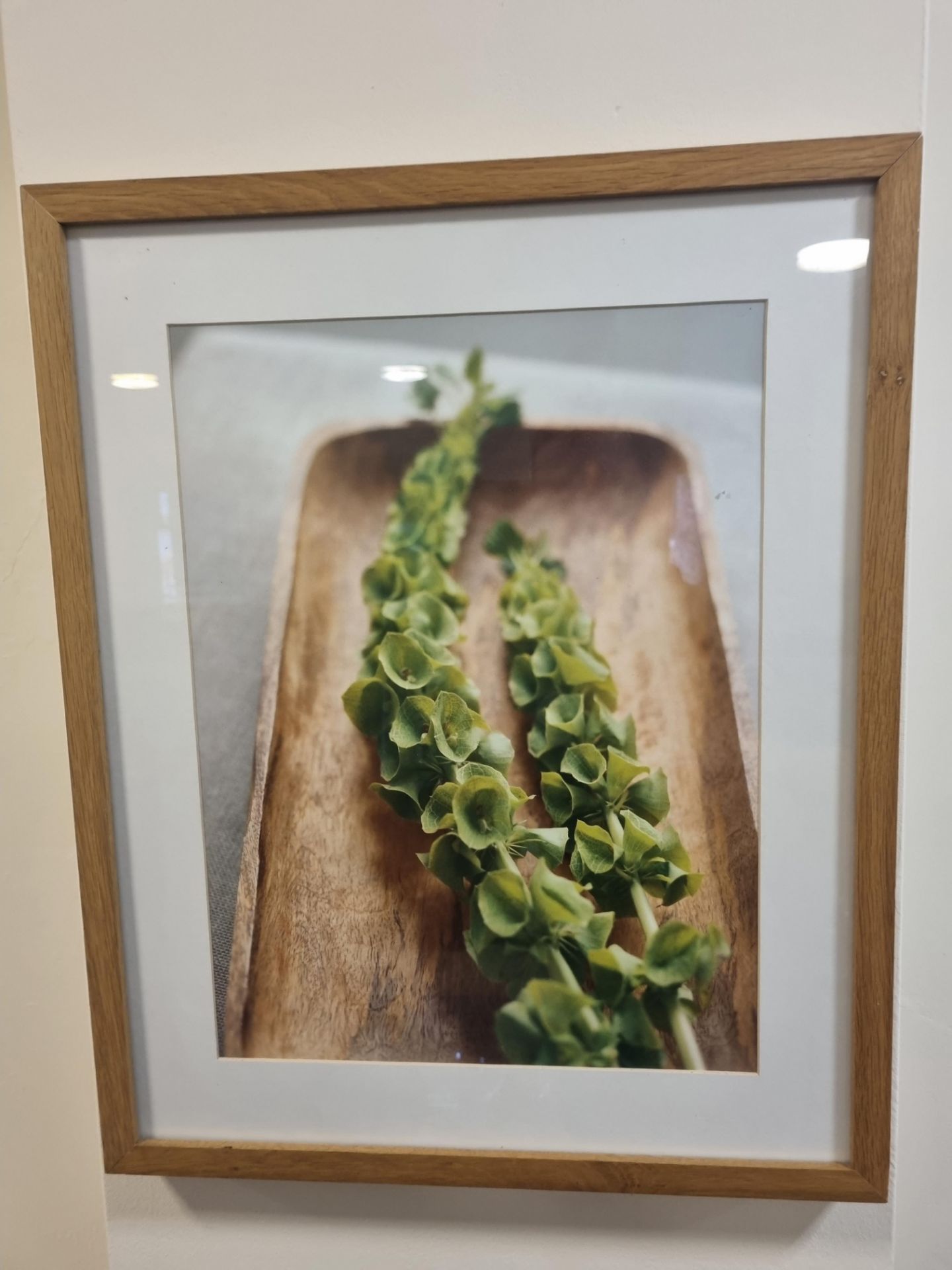 A set of 2 x Framed Artwork Comprising Of Botanical Print 425mm X 530mm and Cork Art 490mm X 490mm - Bild 2 aus 2