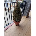 4 x Outdoor Potted Plants