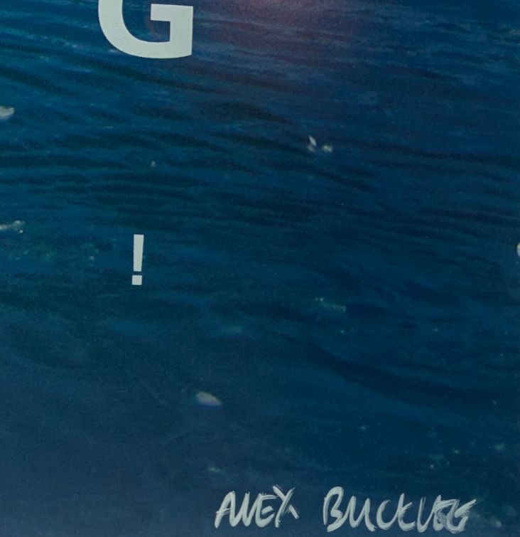 ALEX BUCKLEE 'EYE TEST - (CLIMATE CHANGE ICE)' -2021 - Image 2 of 2