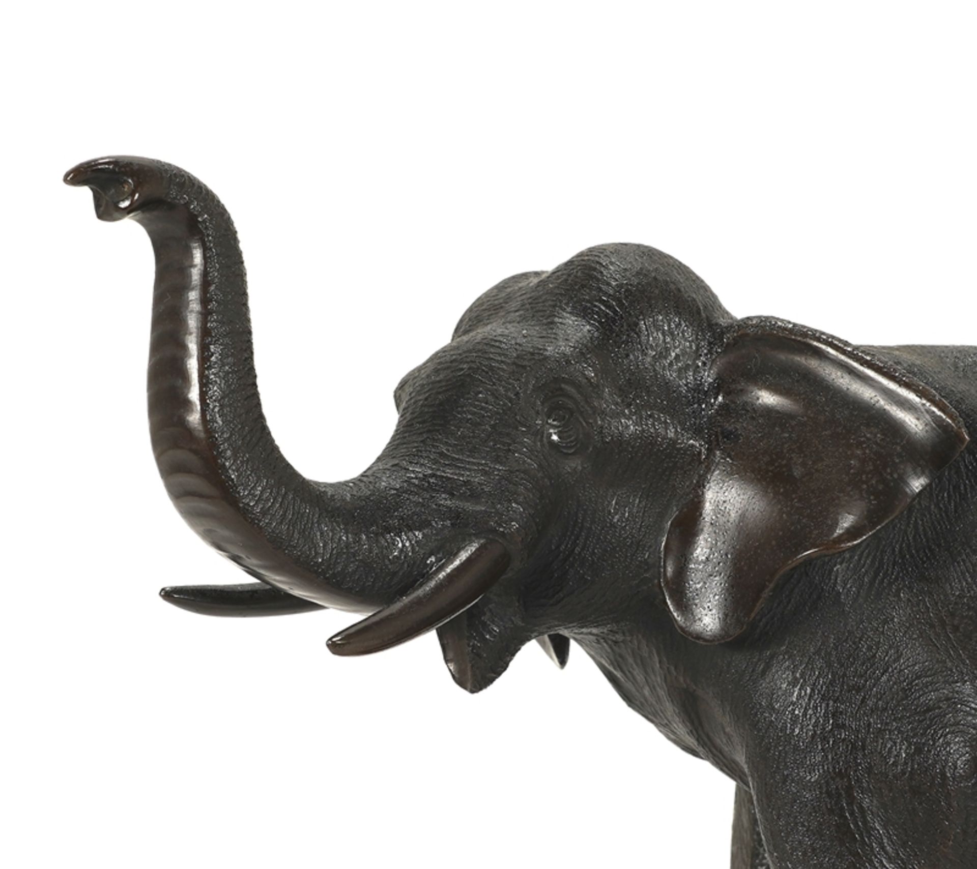 Elefant - Image 3 of 6