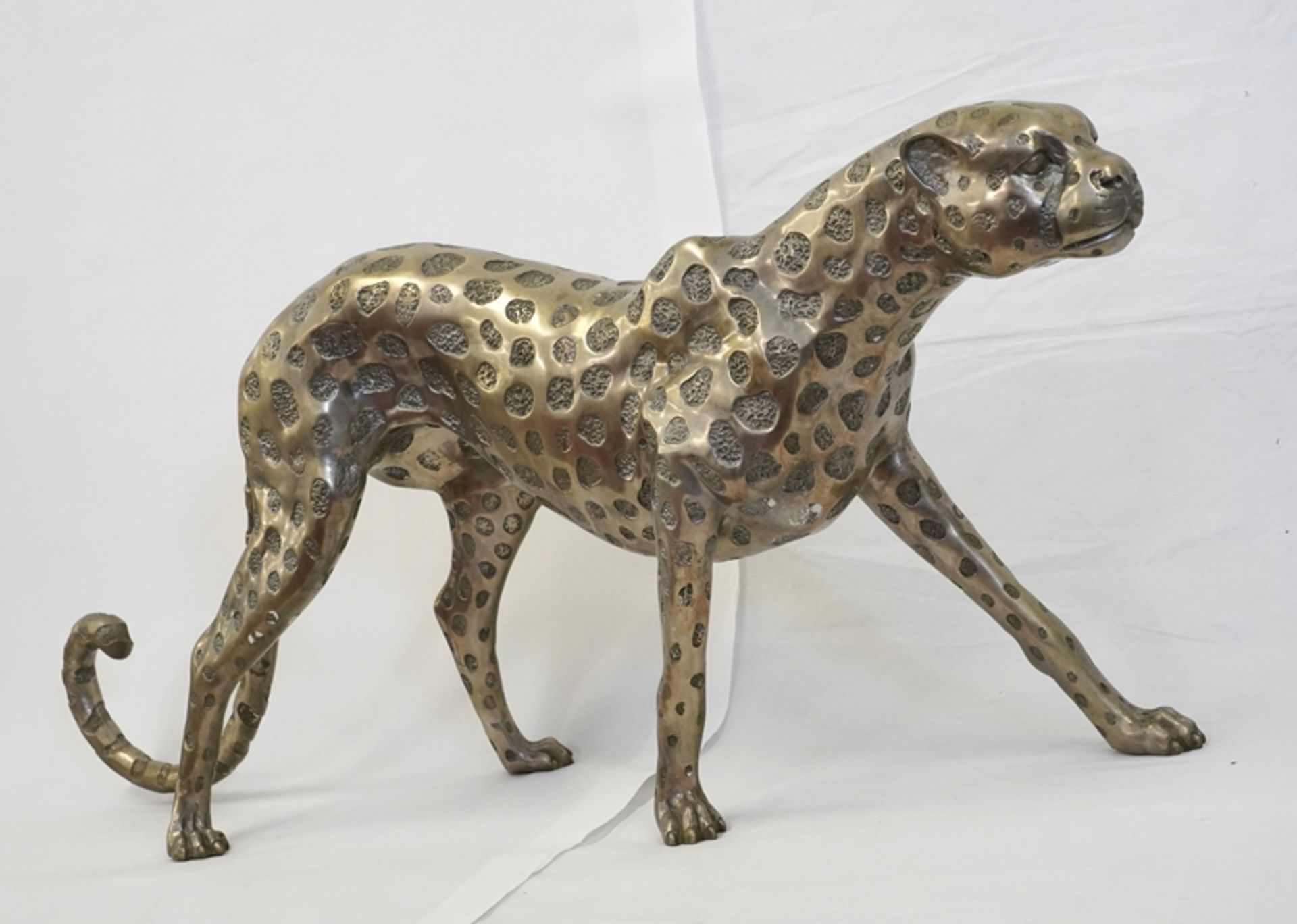 Dekorativer Gepard | Decorative cheetah