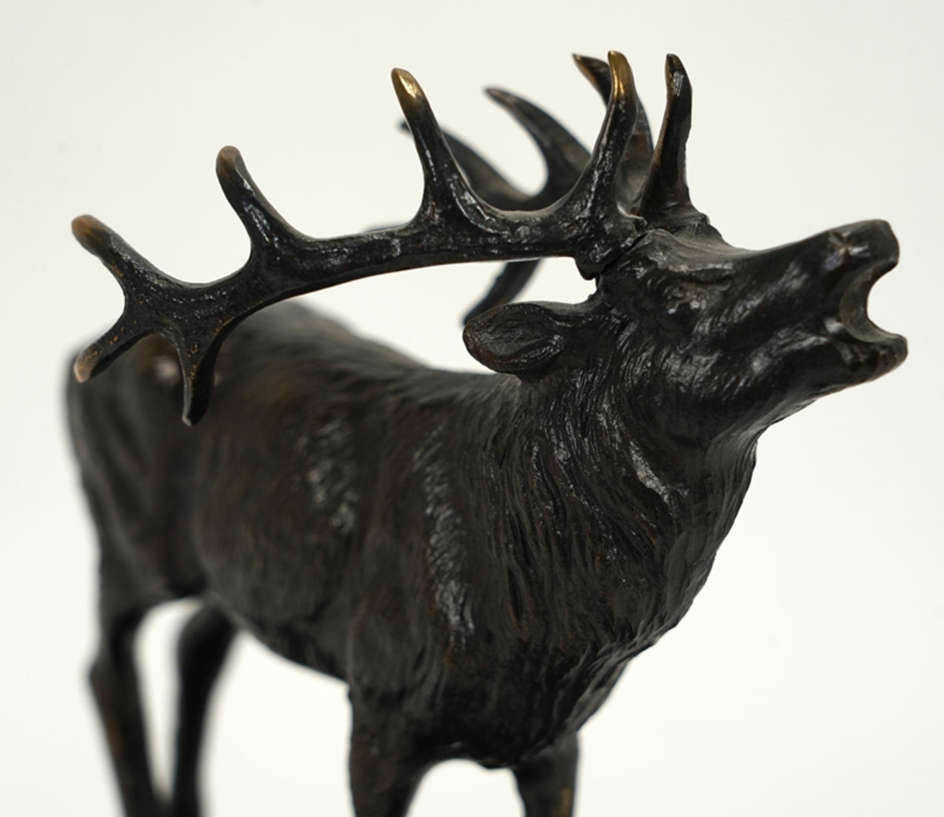 Röhrender Hirsch | Roaring Stag - Image 3 of 4