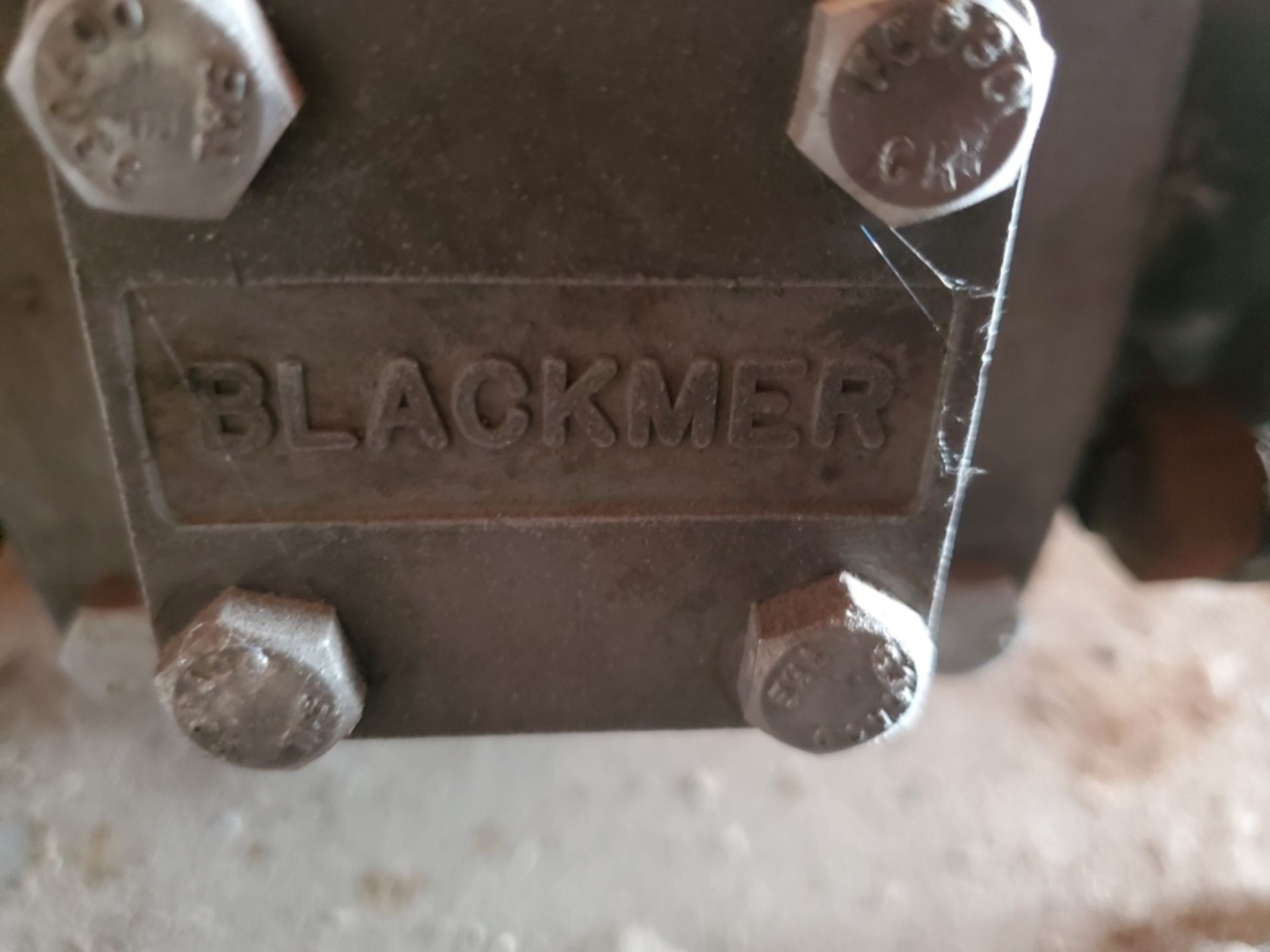 Blackmer 5HP Process Pump On Cart - Image 5 of 8