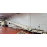 Buschman Inclined Conveyor System - BULK BID FOR LOTS 1118 TO 1125