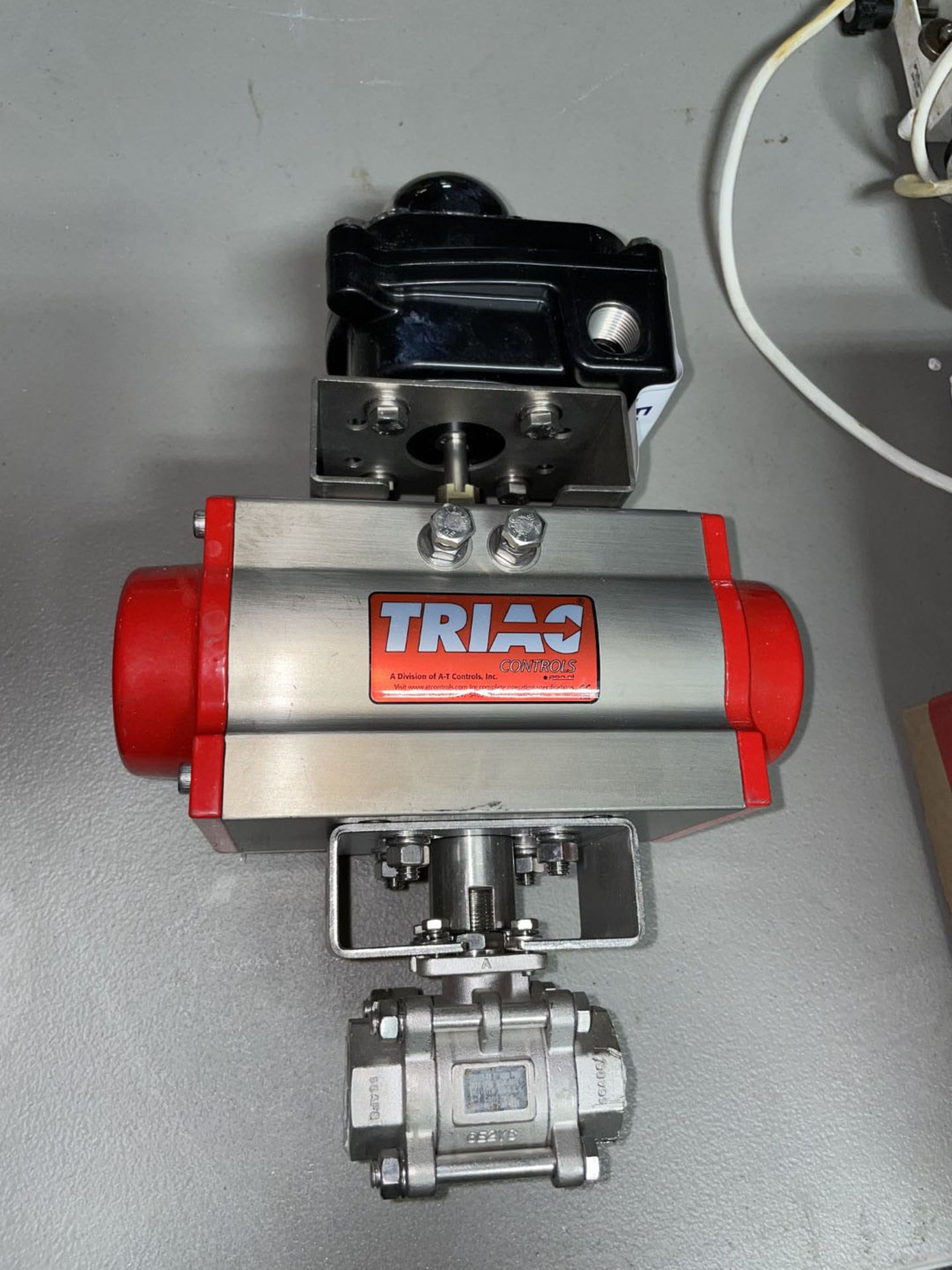 1" Triac Automated Ball Valve, Model 55TX