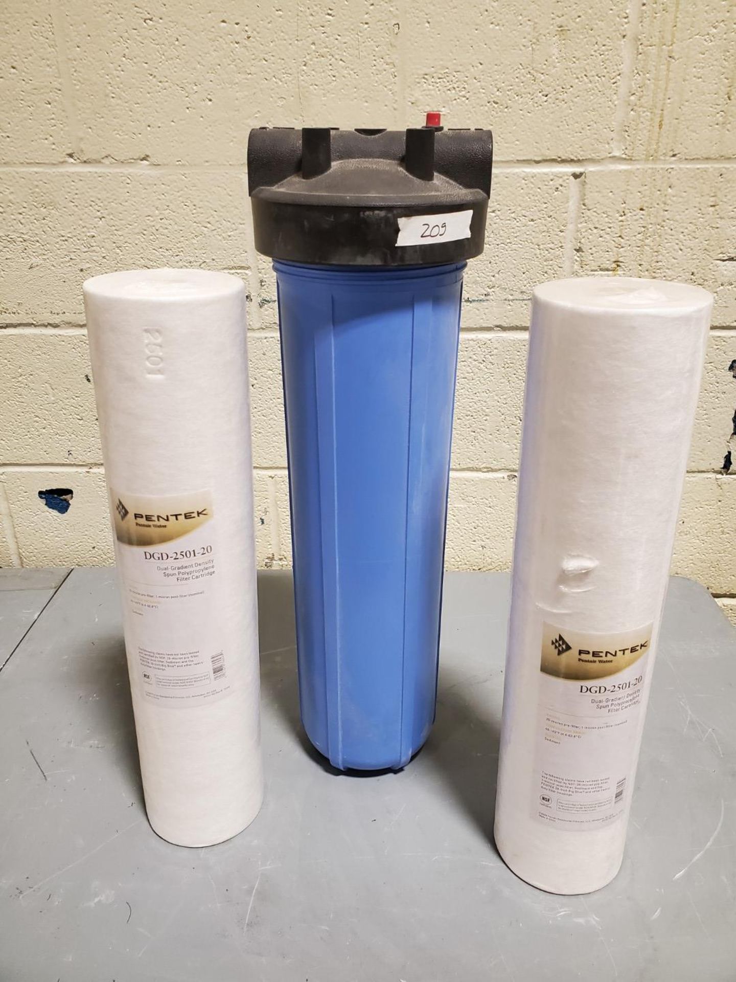 (2) Pentek Water Filter Cartriges, with Housing