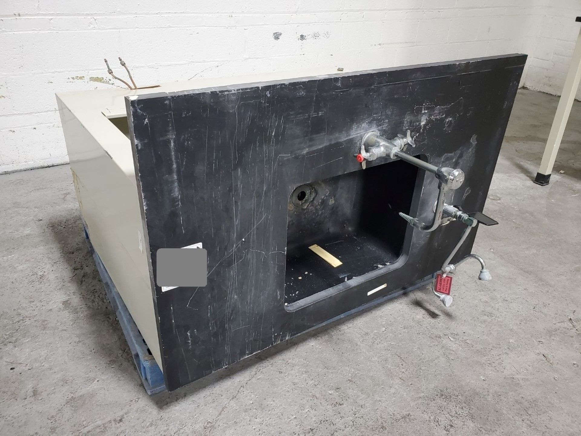 49" x 30" Lab Sink, with Eye Wash Station.