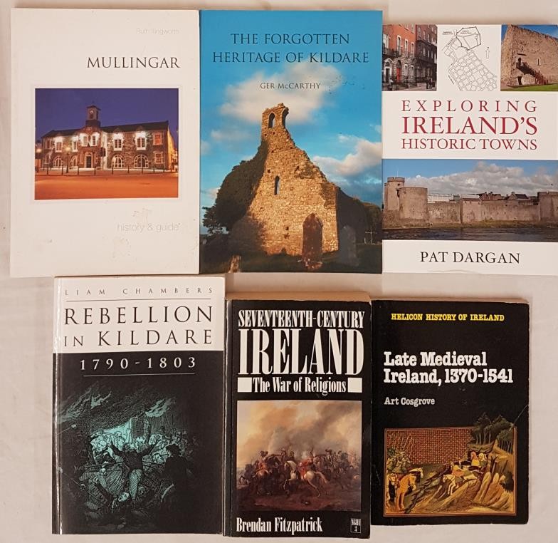 Fitzpatrick, Seventeenth-century Ireland, NGHI 3, 1988; Late Medieval Ireland, Art Cosgrove;