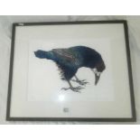 PENCIL SIGNED LIMITED EDITION COLOURED ETCHING ENETITLED CORVUS INSCRIBED & SIGNED JULIA MANNING