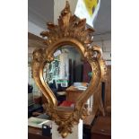 GILT FRAMED ROCOCO STYLE MIRROR