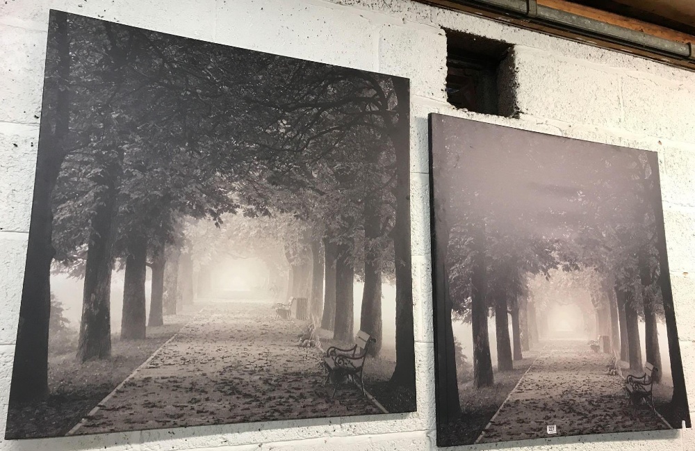 PAIR OF CANVASS PRINTS SHOWING A WOODLAND SCENE 90 CM X 90 CM