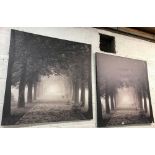 PAIR OF CANVASS PRINTS SHOWING A WOODLAND SCENE 90 CM X 90 CM