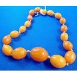 BUTTERSCOTCH AMBER GRADUATED NECKLACE WT 43g APPROX. LARGEST BEAD 23mm, 15'' LONG