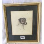 HEAD AND SHOULDERS STUDY OF A TERRIER, PENCIL DRAWING WITH WATERCOLOUR, SIGNED