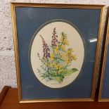5 F/G PICTURES, 2 DEPICTING CATS, 2 DEPICTING FLOWERS & THE OTHER CROSS STITCH MAP PICTURE