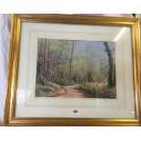 DOROTHY GILLESPY, PASTEL DRAWING OF A WOODLAND PATH, SIGNED WITH EXTENSIVE BIOGRAPHY ON LABEL TO