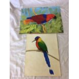 A FOLIO OF 6 WATERCOLOURS OF BIRDS, MAINLY TROPICAL.