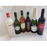 6 BOTTLES OF VARIOUS WINES & SPIRITS INCL; ARCHERS SCHNAPPS, CROFT SHERRY & CARVA