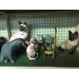 SHELF OF CHINA CATS