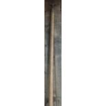 LONG SKYLIGHT HOOK - 9ft & BRANCH LOPPER