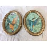 PAIR OF OVAL WATERCOLOURS BY PETER BARRETT - THE KING FISHER