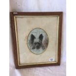 19THC OVAL CHALK DRAWING, PORTRAIT OF A SKYE TERRIER AND INSCRIBED GRIZZLE & DATED 1891