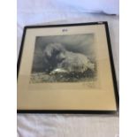PENCIL SIGNED ETCHING PRINT OF A TERRIER, TOGETHER WITH A PHOTOGRAPH OF A PEKINESE DOG SIGNED AND