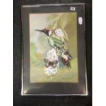 A WATERCOLOUR OF A WOODPECKER, SIGNED M.PETTINGFOR