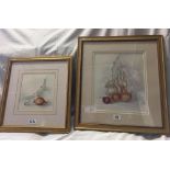 TWO FINE WATERCOLOUR STUDIES OF FLOWERS AND BULBS, BOTH DIFFERENT SIZES, INDISTINCTLY SIGNED. WITH