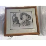PENCIL DRAWING, STUDY OF 3 CATS, SIGNED BY RICHARD ALBON, WITH ARTIST'S DETAILS TO THE REVERSE