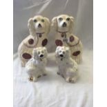 2 MEDIUM SIZED STAFFORDSHIRE STYLE DOGS & 2 SMALL ROYAL DOULTON DOGS