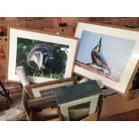 CARTON WITH F/G PICTURES A/F BREAD BIN, WALL MOUNTED CABINET & VARIOUS ORNITHOLOGY WALLPAPER