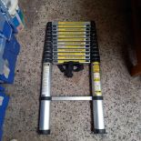 12 STEP ARTICULATED LADDER