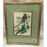 FINELY DETAILED WATERCOLOUR OF A TROPICAL BIRD, PERCHED ON A BOUGH OF EXOTIC FLOWERS, SIGNED L DE