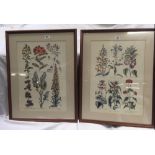 PAIR OF LARGE COLOURED STUDIES OF VARIOUS FLOWERING PLANTS ENGRAVINGS