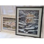 F/G AVOCET FAMILY PRINT & A F/G SWIMMING TIGER PRINT